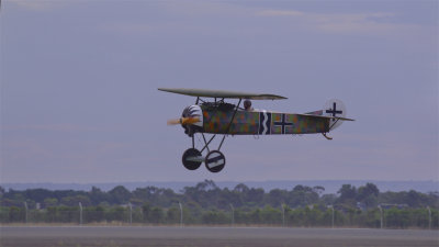 Fokker E.V-D.VIII.jpg