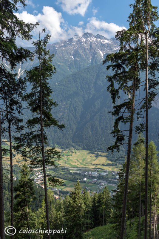 Panorama dal Meler 