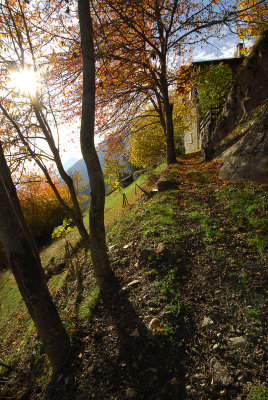 Autumn in Valtellina