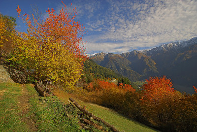 Autumn in Sondalo