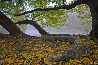 Parco del Sempione-Milano