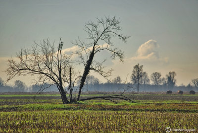 Campagna di Gudo Visconti