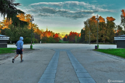 Runner in the Sempione Park