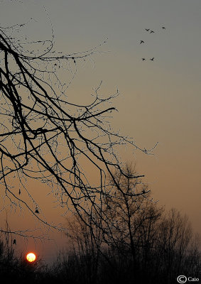 Tramonto