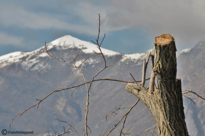 Monte Cornizzolo