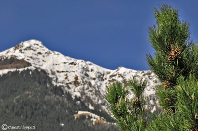 Monte Storile