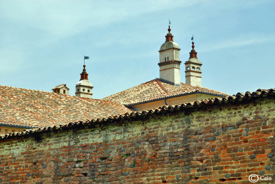 Particolari della Certosa di Pavia