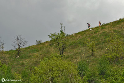 Trekking