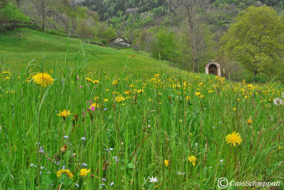 Prati di Migiondo