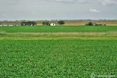 Hungarian country