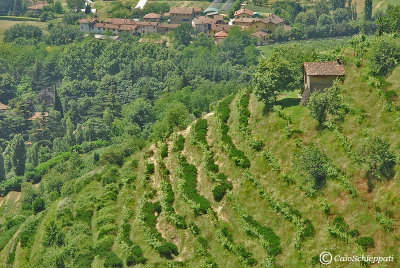 Le colline di Montevecchia