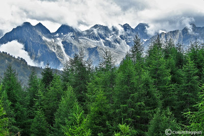 L'Adamello dal Passo del Mortirolo