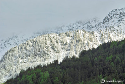 La nevicata del 20 Maggio