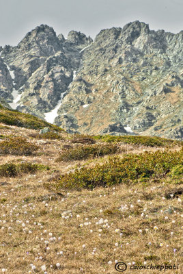 Foscagno pass