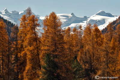 Val Rosech-Ch