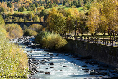 Il fiume Adda a Bolladore