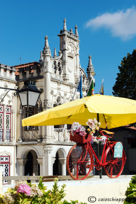 Palacio National de Sintra