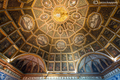 Sala dos brasoes-Blazons hall,Palacio National de Sintra