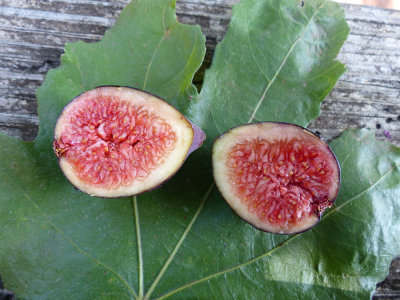 Cut-figs-on-leaf.jpg