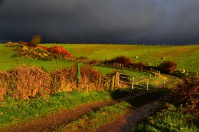4th December