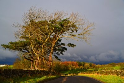 g9/43/278043/3/162311762.1j59DRX1.jpg