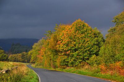 g9/43/278043/3/164315921.eUmgskOu.jpg