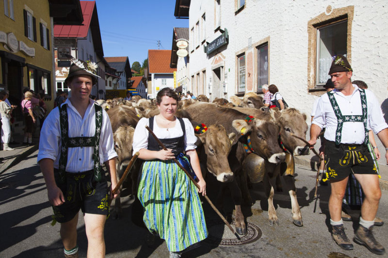 Cow 3861.jpg