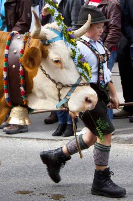 Cow Boy 9712.jpg