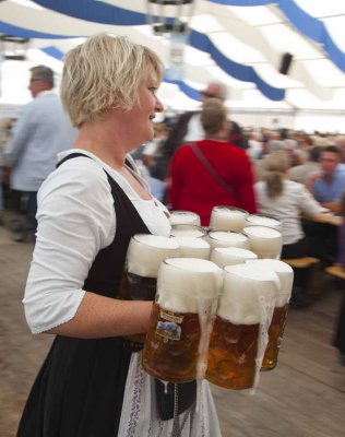 Beer 9786.jpg