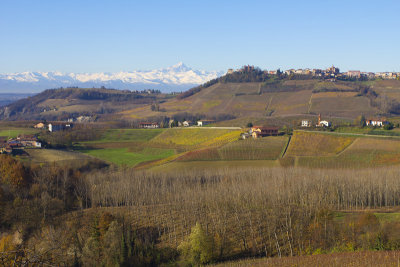 Vines to Mtns 3979.jpg