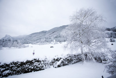 Balcony Snow 0823.jpg