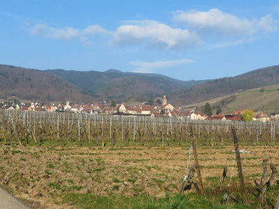 Vineyards 1358.jpg