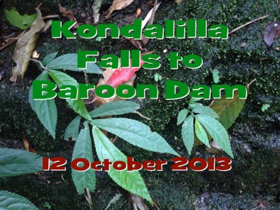 Kondalilla Falls to Baroon Dam 10/2013