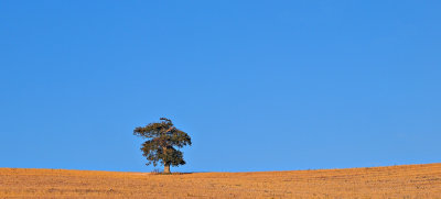 PA078688.jpg