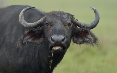 TJ_Kenya-2013_00755.JPG