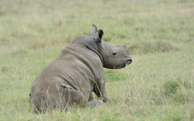 TJ_Kenya-2013_04516_DSC2101.JPG