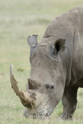 TJ_Kenya-2013_04520_DSC2105.JPG