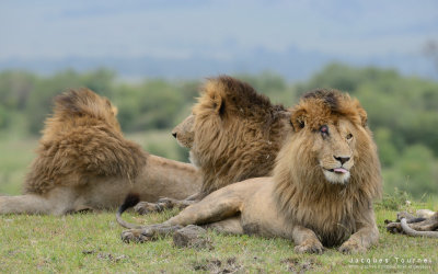 Kenya 2013