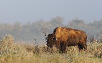 TJ_Dakota_2010_04056.JPG