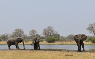 TJ_Botswana_06564.JPG