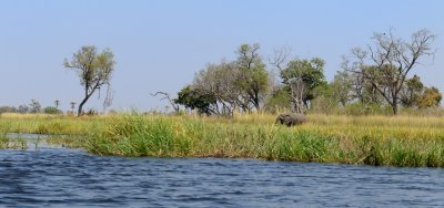 TJ_Botswana_00654B.JPG