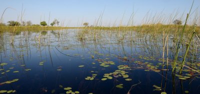 TJ_Botswana_00783.JPG