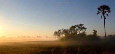 TJ_Botswana_00822.JPG