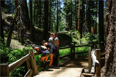 Trail Views