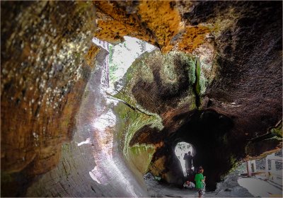 Inside View