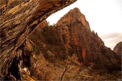 Zion's Weeping Rock