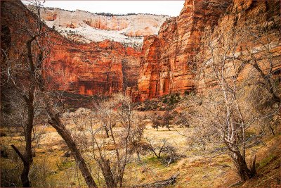 Canyon Floor
