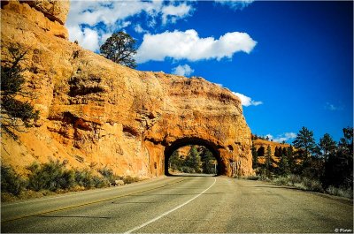 Scenic Highway 12