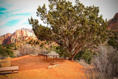 Weathered Kolob Canyon Picnic Site