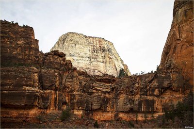 The Great White Throne